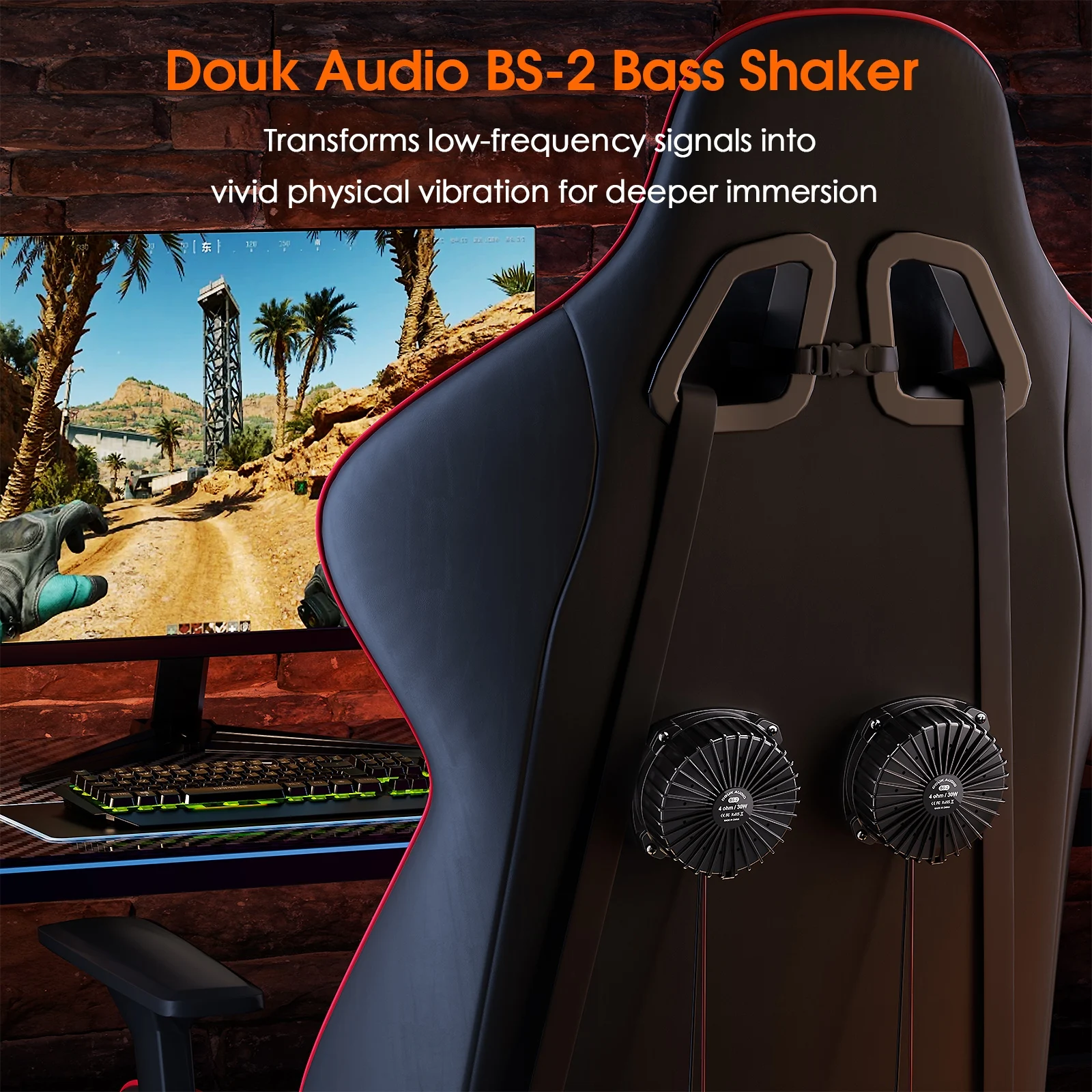 Douk Audio BS-2 30W 4Ω Bass Sh - Home Cinema Installation avaliação e preço